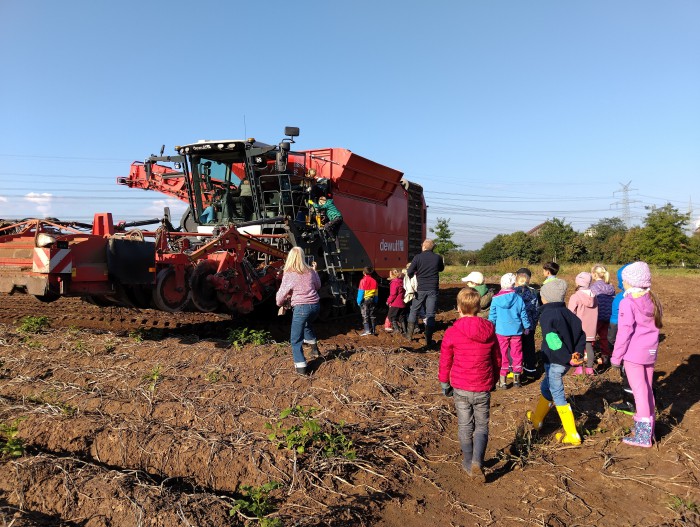 Der Kartoffelroder in Aktion!