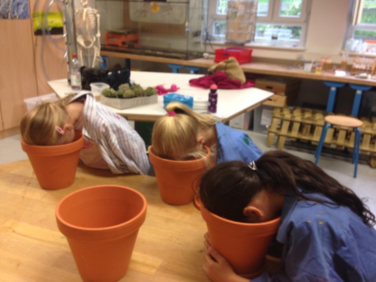 Was wächst denn da?