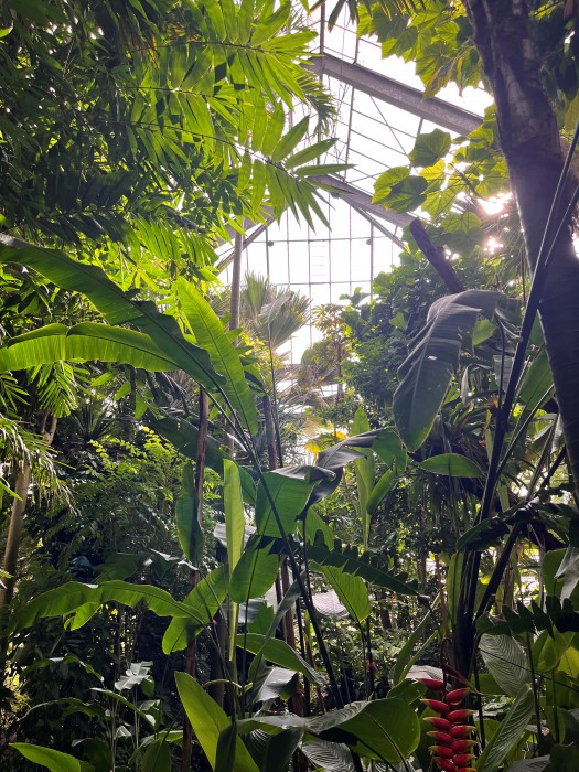 Eindrucksvolles grün.